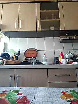 Snapshot of vulpe8400 chatting on February 25, 2025, 8:36 am vulpe8400 online show from February 25, 2025, 8:36 am