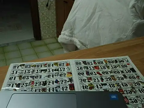 VeneRed online show from November 17, 2025, 7:51 pm