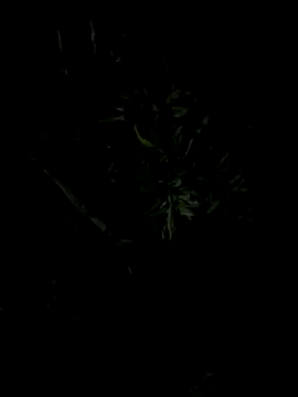 Snapshot of Erick-90 chatting on September 23, 2025, 1:34 am Erick-90 online show from September 23, 2025, 1:34 am