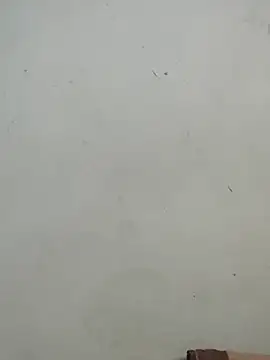 Snapshot of Sania-Love chatting on September 13, 2025, 9:37 pm Sania-Love online show from September 13, 2025, 9:37 pm