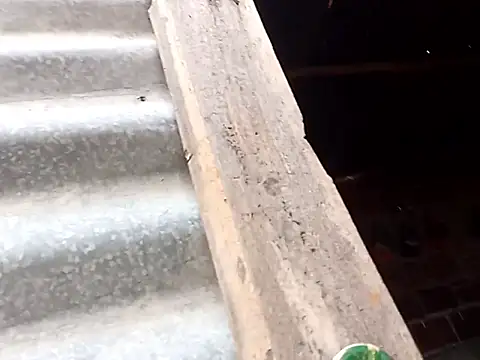 Snapshot of tayson_ chatting on October 15, 2025, 11:18 am tayson online show from October 15, 2025, 11:18 am