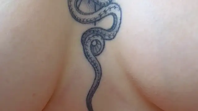 Your Auggie online show from March 12, 2025, 2:12 pm