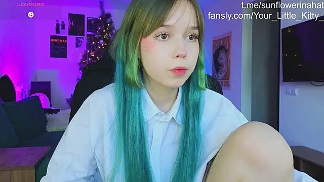 812sunflowerinahat online show from December 20, 2024, 9:32 am