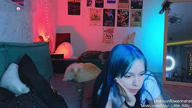 812sunflowerinahat online show from January 12, 2025, 10:22 pm