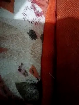 Snapshot of Antor1234 chatting on February 5, 2025, 5:42 pm Antor1234 online show from February 5, 2025, 5:42 pm