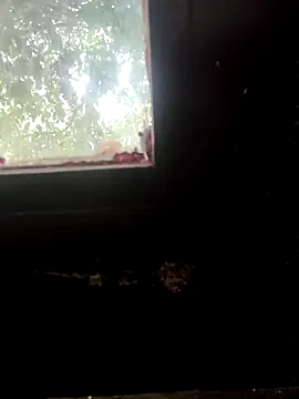 Rj   shan online show from December 21, 2025, 8:16 am