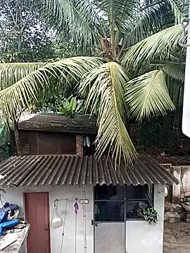 Rj   shan online show from December 13, 2024, 10:51 am