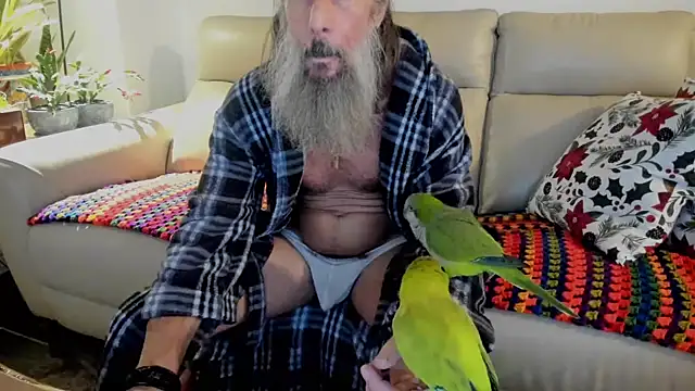 Snapshot of mindphu_k chatting on November 29, 2025, 11:16 pm mindphu k online show from November 29, 2025, 11:16 pm