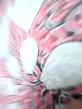 Snapshot of kokakrish chatting on November 6, 2025, 3:38 pm kokakrish online show from November 6, 2025, 3:38 pm