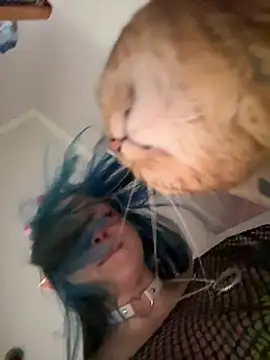 Snapshot of MaddisonHaas chatting on October 28, 2025, 12:44 am MaddisonHaas online show from October 28, 2025, 12:44 am