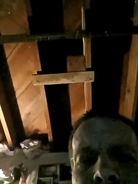 Whipit323 online show from February 22, 2026, 8:49 am