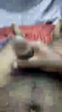Snapshot of mallucallboy2104 chatting on December 13, 2024, 8:47 pm mallucallboy2104 online show from December 13, 2024, 8:47 pm
