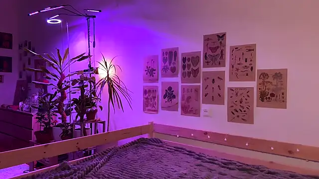 PaulaPratt online show from October 4, 2025, 5:42 am