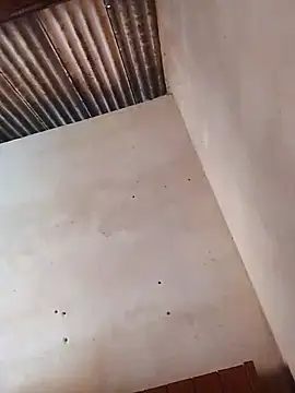 Viny459 online show from December 15, 2025, 11:16 am