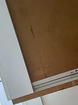 Snapshot of luara1988 chatting on February 18, 2026, 5:31 pm luara1988 online show from February 18, 2026, 5:31 pm