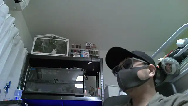 Owl1216 online show from December 4, 2024, 2:42 pm