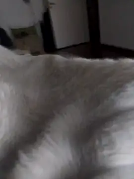 Snapshot of BURN666ING chatting on March 10, 2026, 6:50 am BURN666ING online show from March 10, 2026, 6:50 am