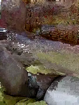 Hot Falguni online show from October 28, 2025, 11:31 am