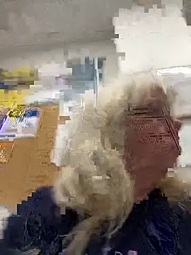 Snapshot of canadiancougar1965 chatting on December 30, 2024, 6:49 pm canadiancougar1965 online show from December 30, 2024, 6:49 pm