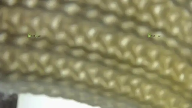 Snapshot of Alysta chatting on October 30, 2025, 7:55 pm Alysta online show from October 30, 2025, 7:55 pm