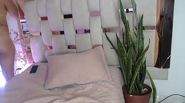 sophii12-12 online show from December 3, 2024, 1:03 am