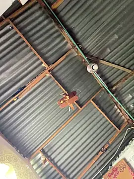 ElNegroRony online show from April 8, 2026, 3:46 pm