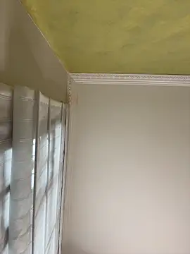 aurora divine online show from November 16, 2025, 1:05 pm