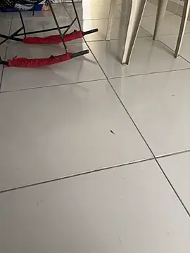 vivicolibri online show from November 27, 2025, 12:49 pm