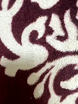 Snapshot of poision51 chatting on November 17, 2025, 4:38 am poision51 online show from November 17, 2025, 4:38 am