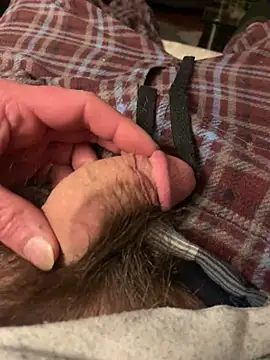 Snapshot of willcumforu chatting on February 28, 2025, 4:54 am willcumforu online show from February 28, 2025, 4:54 am