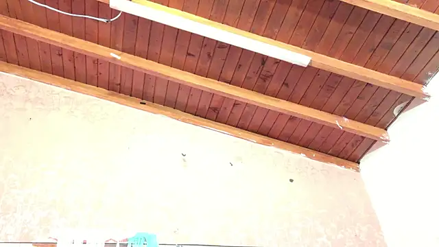 Sofia martiin online show from September 25, 2025, 3:01 am