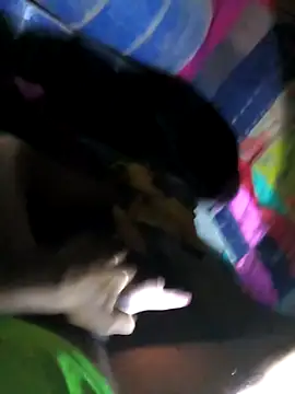 Snapshot of BrownPrez chatting on January 23, 2025, 12:04 am BrownPrez online show from January 23, 2025, 12:04 am