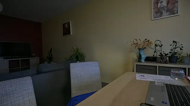 SexyExclusiveflower online show from November 28, 2025, 8:03 am