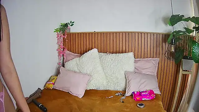 ShyVibes  online show from February 4, 2026, 8:26 pm