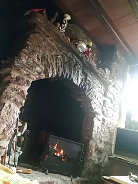 MrTamburine22 online show from November 19, 2025, 12:49 pm