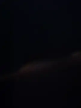 lukay69 online show from February 7, 2026, 8:44 am