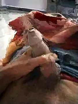 Snapshot of PracticalGum40 chatting on November 20, 2025, 5:24 pm PracticalGum40 online show from November 20, 2025, 5:24 pm