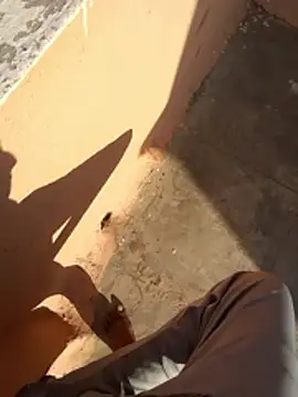 PracticalGum40 online show from January 11, 2026, 3:35 am