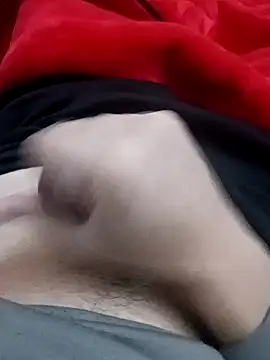 Steve98768 online show from December 3, 2024, 1:49 pm