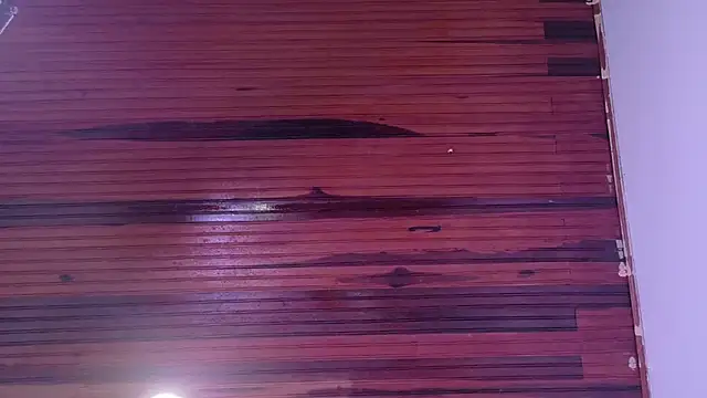  amy johnson online show from February 28, 2025, 7:03 pm