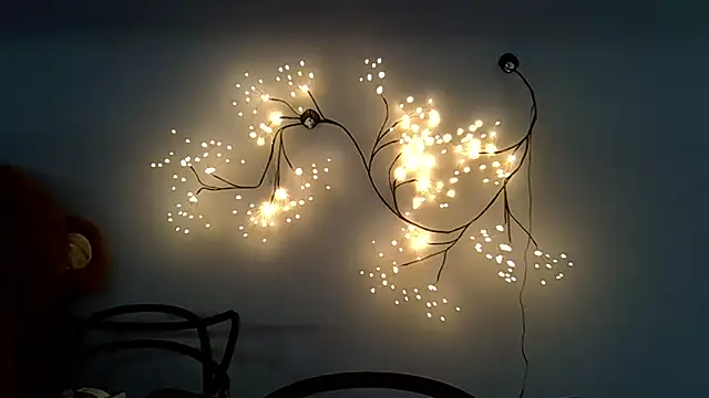 Snapshot of Lucky_Anna chatting on December 14, 2025, 9:04 am Lucky Anna online show from December 14, 2025, 9:04 am