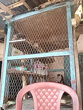 Snapshot of Skinny_Bigass_23 chatting on February 3, 2026, 7:02 am Skinny Bigass 23 online show from February 3, 2026, 7:02 am