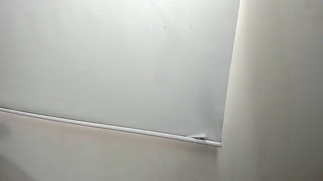 Snapshot of LaylaJewel chatting on February 21, 2025, 2:48 pm LaylaJewel online show from February 21, 2025, 2:48 pm