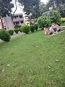 lofarinsan online show from October 6, 2025, 12:17 pm