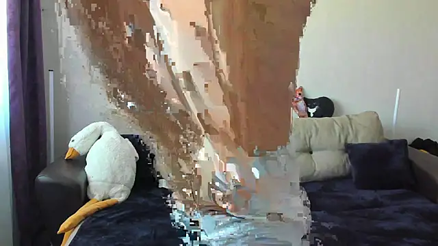 Ostin meow online show from September 17, 2025, 6:26 am