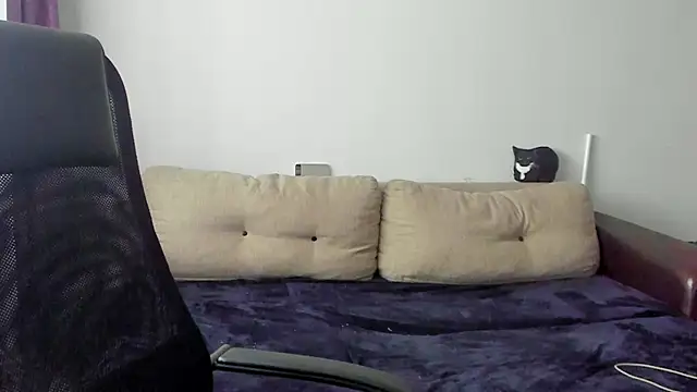 Ostin meow online show from November 14, 2025, 6:28 am