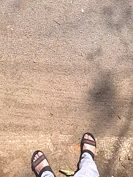 Snapshot of faaseel chatting on February 20, 2025, 5:44 am faaseel online show from February 20, 2025, 5:44 am