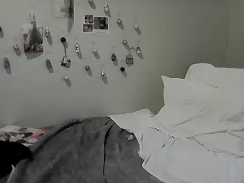 housewife shantie online show from November 30, 2025, 12:17 pm