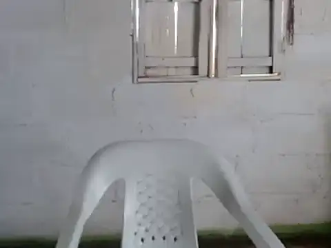 tayler punk noise online show from December 31, 2024, 3:42 pm