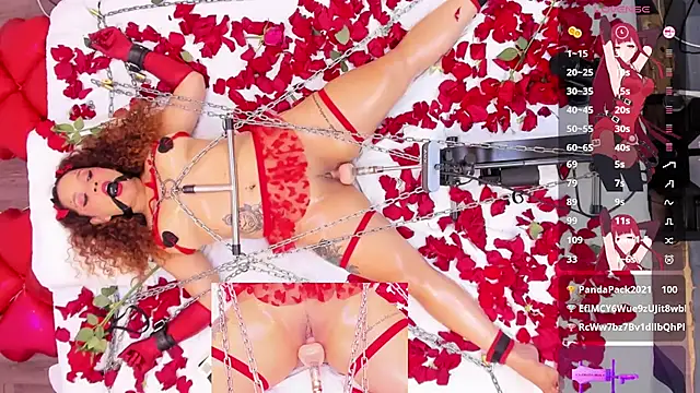 Snapshot of sweet_curlyx chatting on February 14, 2026, 9:59 pm sweet curlyx online show from February 14, 2026, 9:59 pm